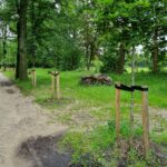 Vernieling Laantje Zonder Eind