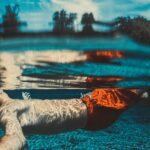 Drijven Zwemmen Zwemwater