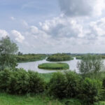 Amerongse Bovenpolden Utrechts Lanschap