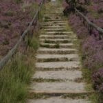 Den Treek Henschoten