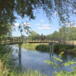 Kromme Rijn Bij Bunnik