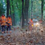 Bladcampagne Herfst Biga