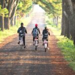 Pexels Samen Fietsen