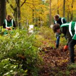 Meer Bomen Nu Zaailingen Oogstdag
