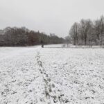 Winter Utrechts Landschap