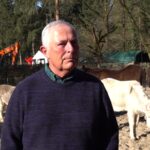 Actie Voor De Ezelsociëteit Zeist