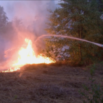 Natuurbrand De Leijen Bilthoven