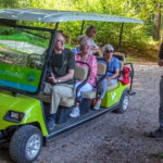 Bosboemel Jan De Jong Kopie