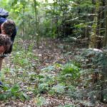 Soorten Challenge tellen Dag Van Het Nationaal Park 2025