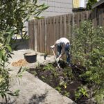 NK Tegelwippen Tegels Groen Tuin