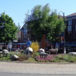 Leersum Kudde Schapen Cees Van Swieten Schapenrotonde