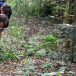 Soortenchallenge Nationaal Park Utrechtse Heuvelrug