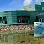 Vijver Wijk Bij Duurstede Snoek