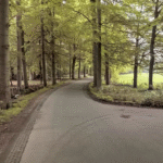 Langboekerweg : Darthuizerweg Leersum