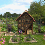 Seniorentuintjes Volkstuindervereniging Bunnik