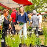 Tuindagen Vollenhoven 2025