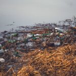 Zwerfafval Rivier