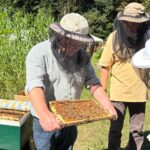 Imkerdagen Zonheuvel 1920px