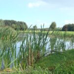 Langbroekerwetering In De Zomer Foto HDSR