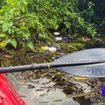 Doppen In De Kromme Rijn