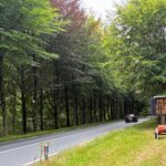 Matrixbord Mijd Bos Uh