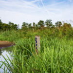 Waterbeeld September 2025 Foto Vallei En Veluwe
