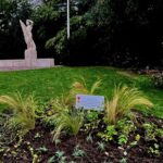 Witte Anjer Perk Zeist