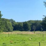 Laagte Van Pijnenburg Utrechts Landschap
