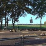 Werkzaamheden rotonde Koelaan