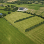 Elzensingel Landschap