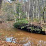 Leyensebos Bilthoven