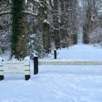 Leyense Bos Bilthoven In De Sneeuw