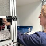 Beheerder Marlies Schneider Met Tortellini