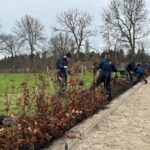 Beukenhaag Planten Nationaal Park