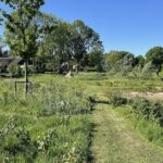 Landschap Klein Subsidie