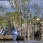 Muskusrattenbestrijding HDSR