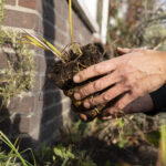 03 NK Tegelwippen Grote Plantdag