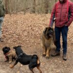 Schermafbeelding 2026 04 20 105045